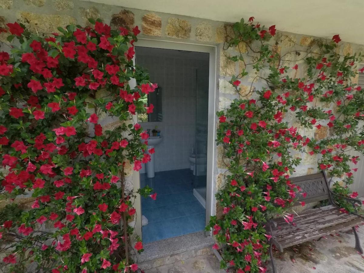 Valadas Guest House Canedo (Aveiro) Exterior foto